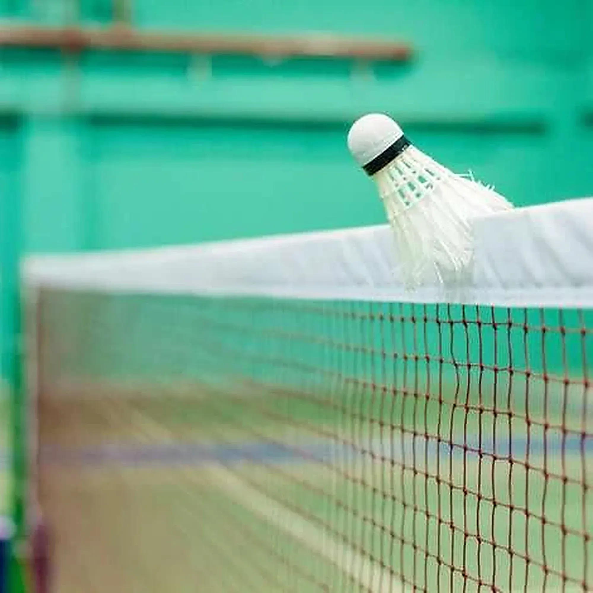 A shuttle crosses the net on a green court